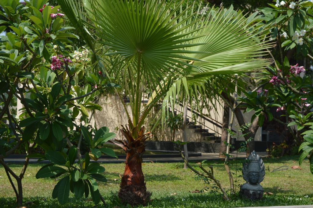 Welcomhotel By Itc Hotels, Kences Palm Beach, Mamallapuram Buitenkant foto